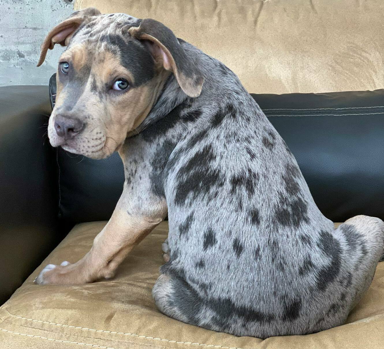 <span style="font-weight: bold;">MIGOS</span>