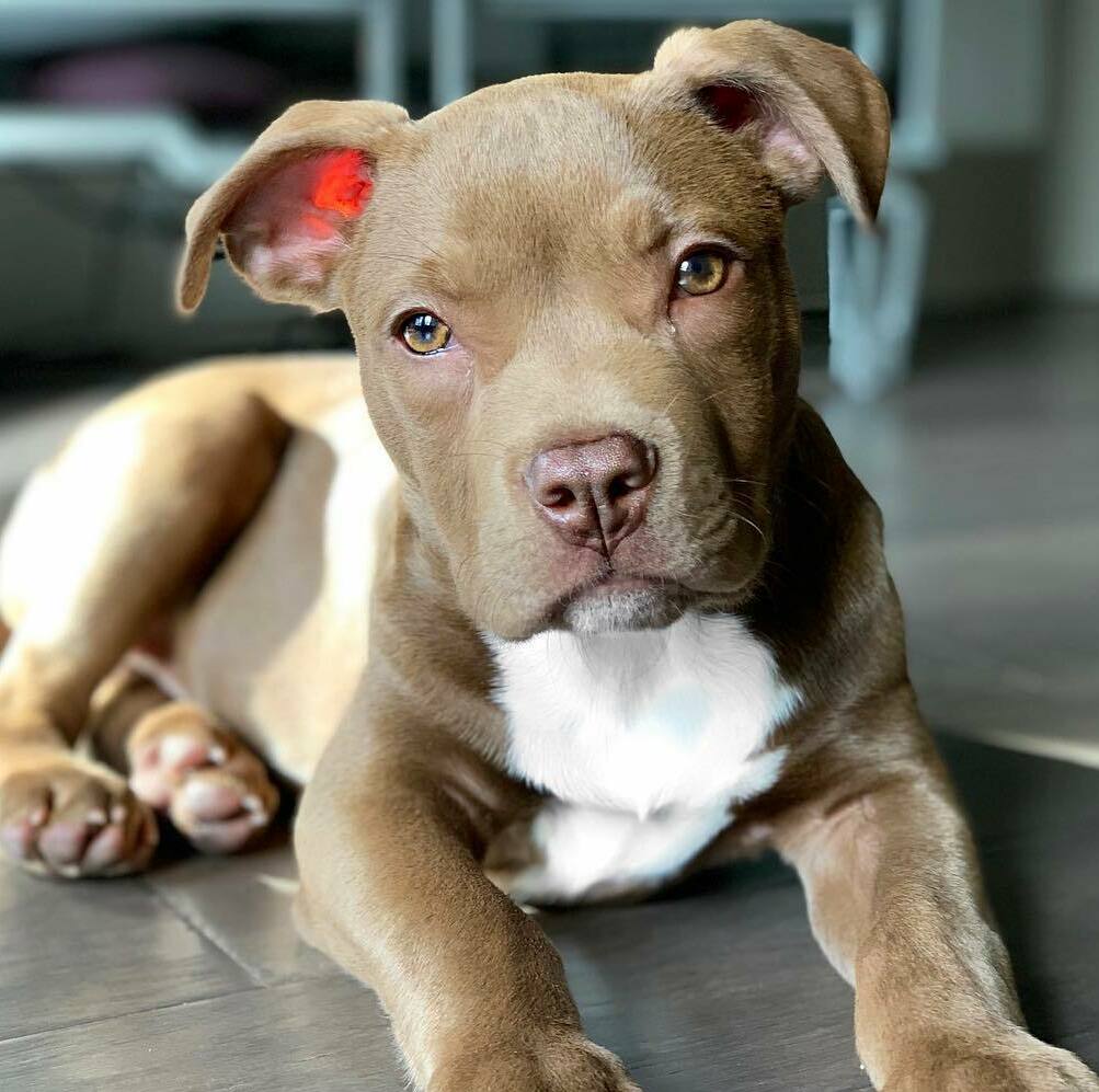 <span style="font-weight: bold;">SUSU</span>