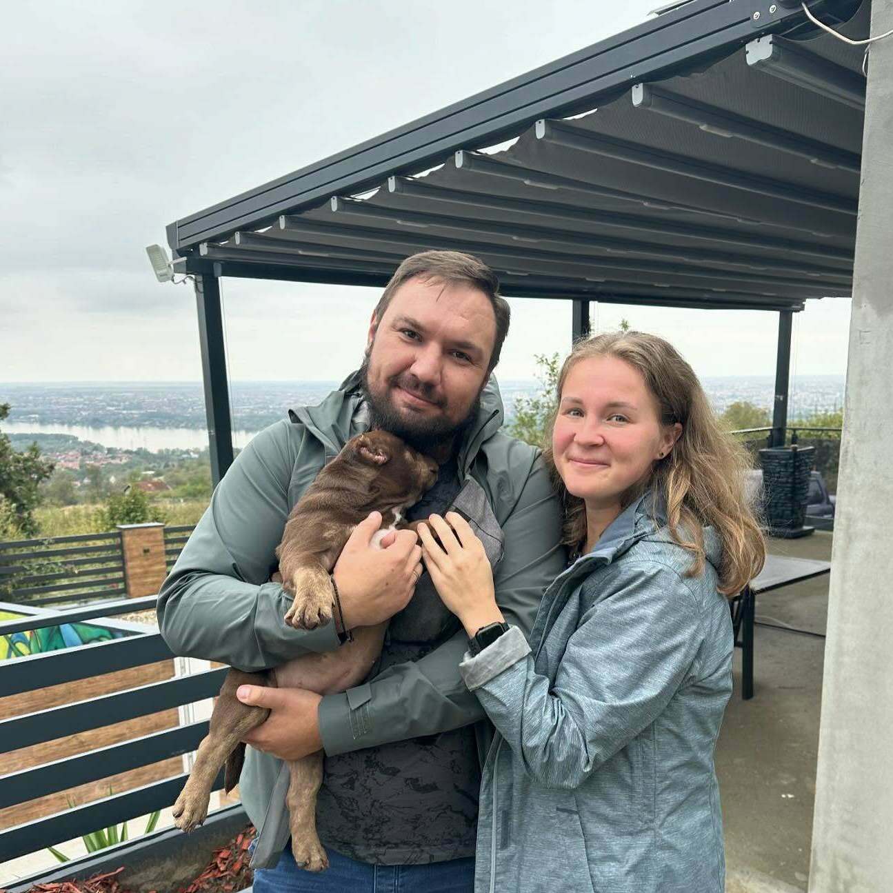 American Bully puppies Montana, Pitbull puppies Montana American Bully puppies Nebraska, Pitbull puppies Nebraska American Bully puppies Nevada, Pitbull puppies Nevada American Bully puppies New Hampshire, Pitbull puppies New Hampshire American Bully puppies New Jersey, Pitbull puppies New Jersey