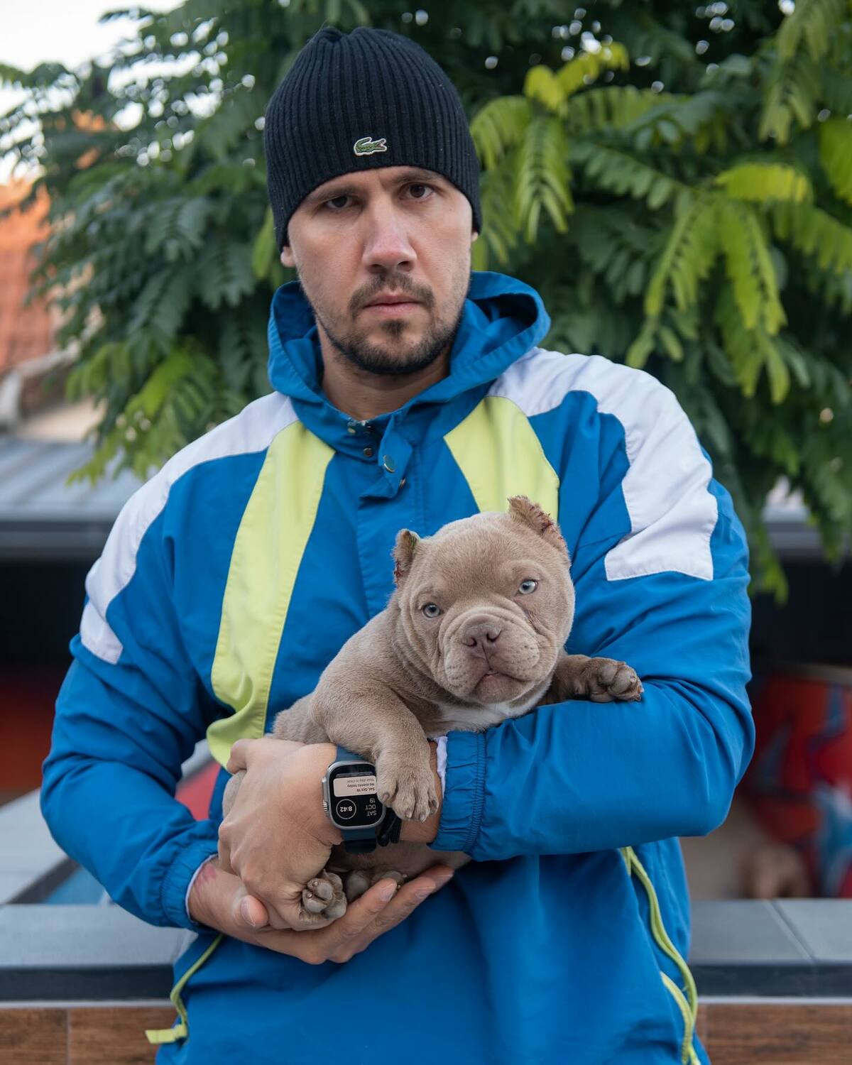 American Bully puppies for sale near me, Champion bloodline American Bully puppies, Affordable Pitbull puppies for sale in USA, XL Bully 