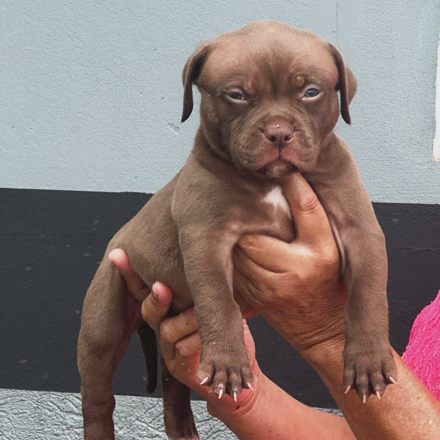 <span style="font-weight: bold;">ZENNA</span>