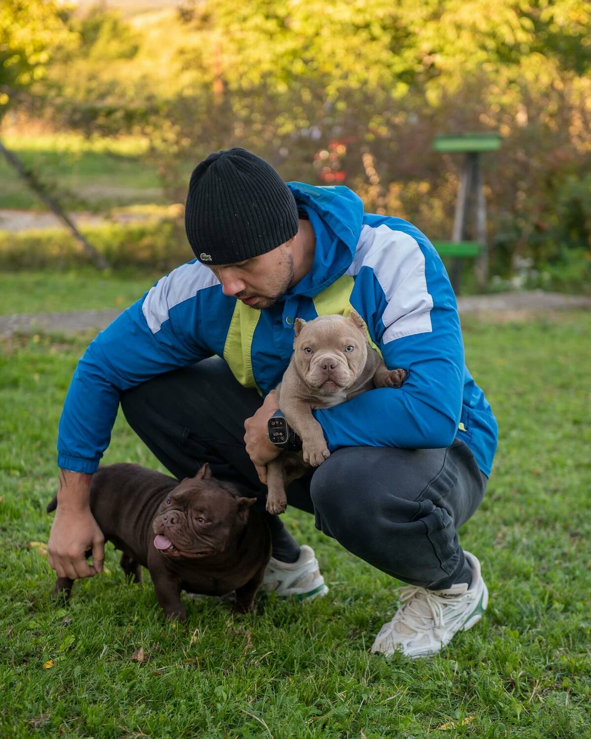 Pitbull Terrier puppies from trusted breeders, Best American Bully breeder in USA, Pitbull puppies with papers for sale, UKC registered American 