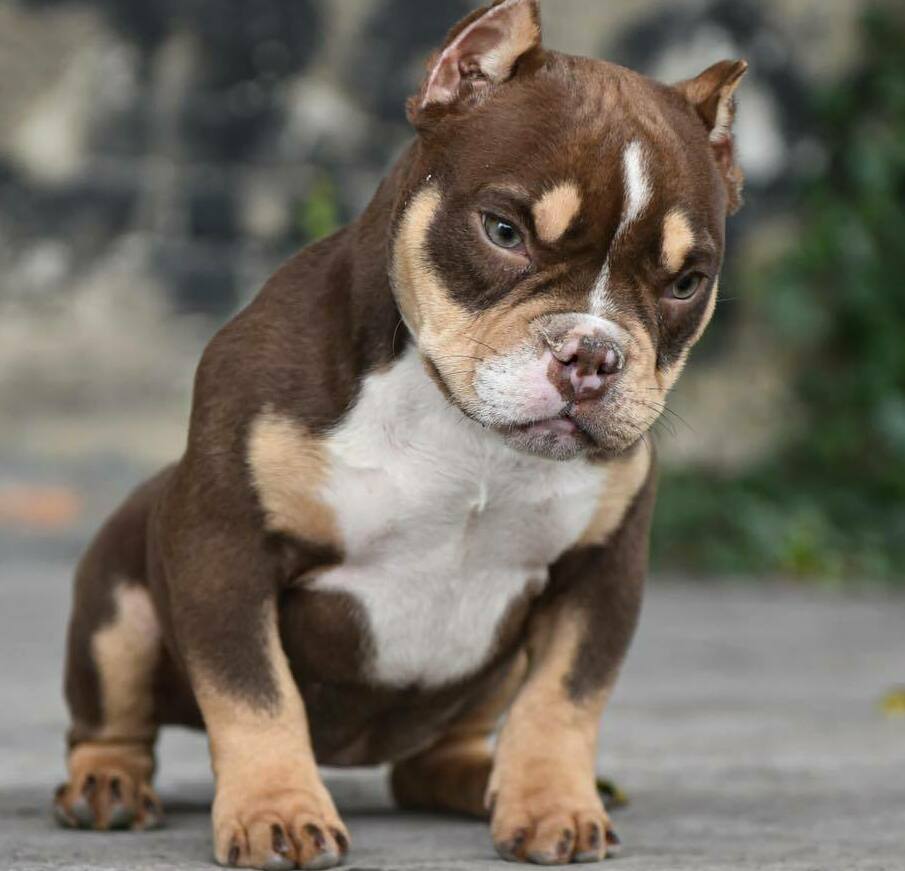 <span style="font-weight: bold;">LAX</span>